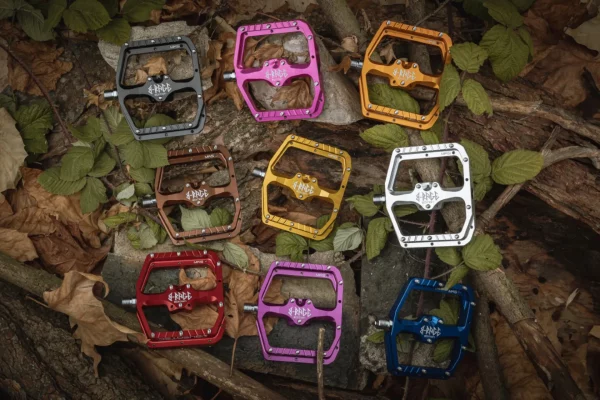 FREE COMP FREE FREE #3